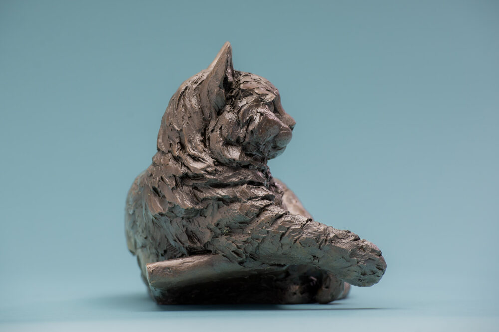 7 'Cat Lying in Basket', Cat Sculpture, Cat Statue, Foundry Bronze, Tanya Russell Animal Sculptures (13 of 17)