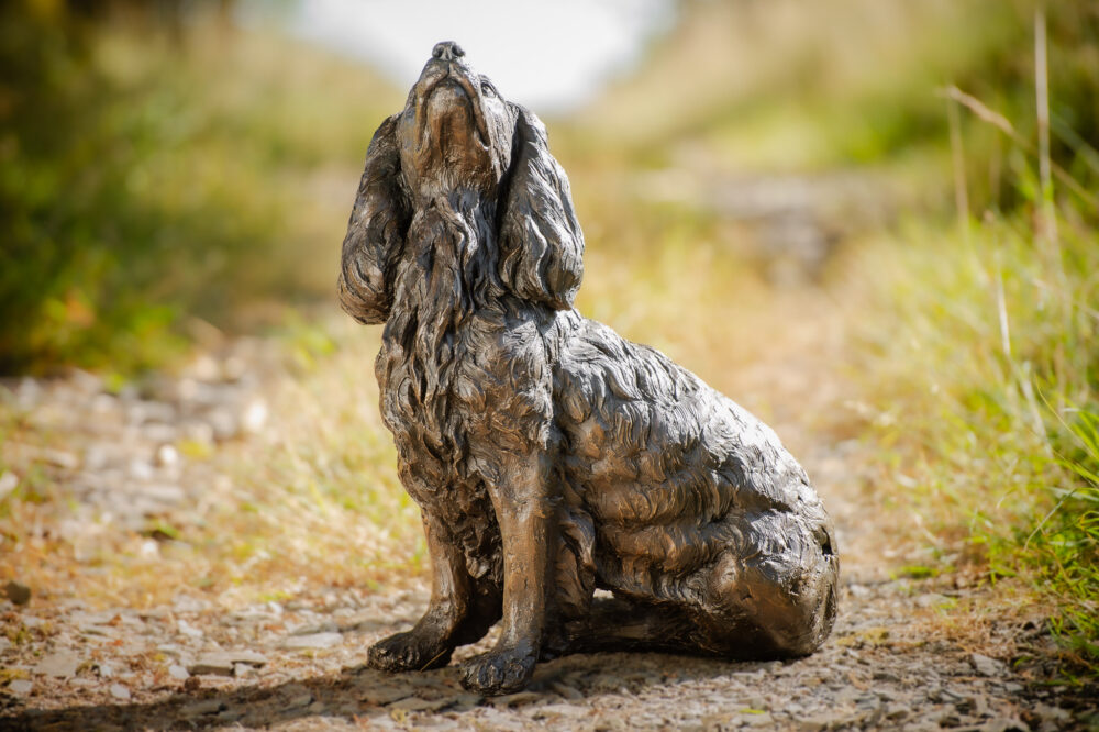 2 'Sitting Working Spaniel 2', Dog Sculpture, Dog Statue, Bronze Resin, Tanya Russell Animal Sculptures (19 of 24)