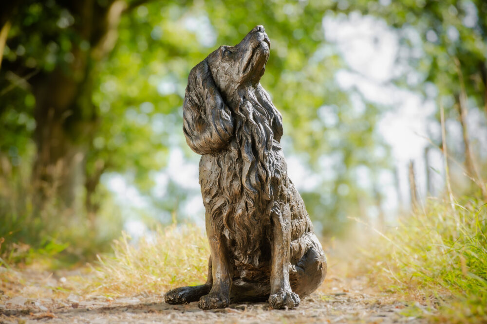 4 'Sitting Working Spaniel 2', Dog Sculpture, Dog Statue, Bronze Resin, Tanya Russell Animal Sculptures (16 of 24)