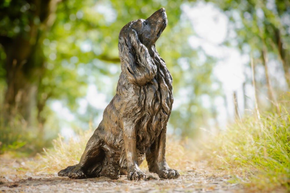 5 'Sitting Working Spaniel 2', Dog Sculpture, Dog Statue, Bronze Resin, Tanya Russell Animal Sculptures (15 of 24)