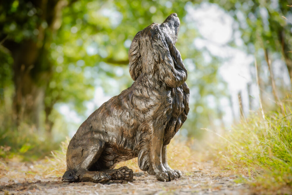 6 'Sitting Working Spaniel 2', Dog Sculpture, Dog Statue, Bronze Resin, Tanya Russell Animal Sculptures (14 of 24)