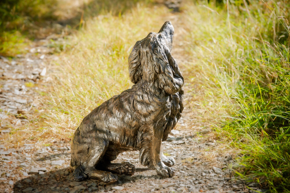 7 'Sitting Working Spaniel 2', Dog Sculpture, Dog Statue, Bronze Resin, Tanya Russell Animal Sculptures (23 of 24)