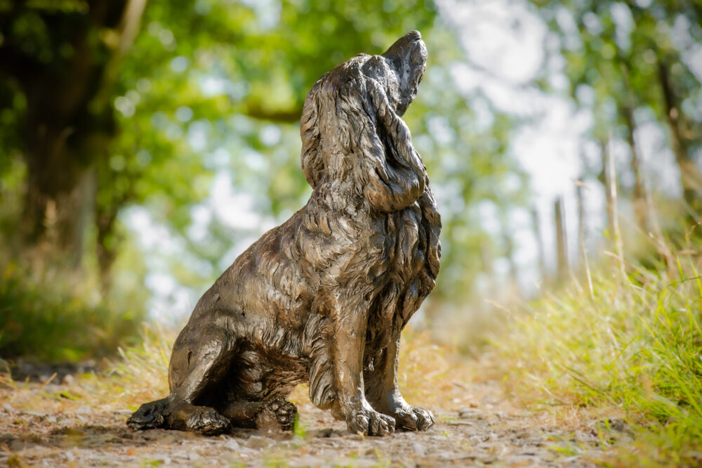 8 'Sitting Working Spaniel 2', Dog Sculpture, Dog Statue, Bronze Resin, Tanya Russell Animal Sculptures (7 of 24)
