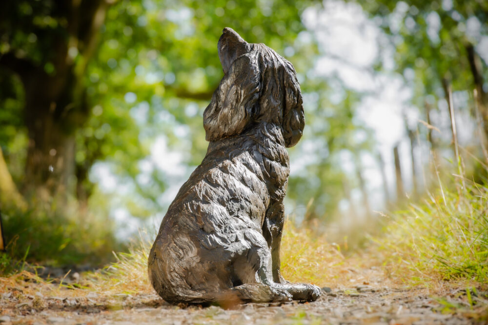 9 'Sitting Working Spaniel 2', Dog Sculpture, Dog Statue, Bronze Resin, Tanya Russell Animal Sculptures (5 of 24)