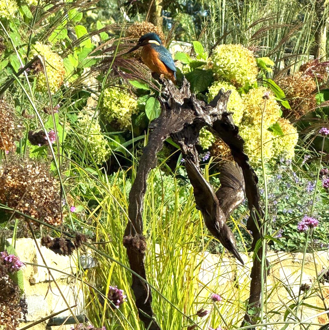 Kingfisher sculpture Outdoor Cat Art Back